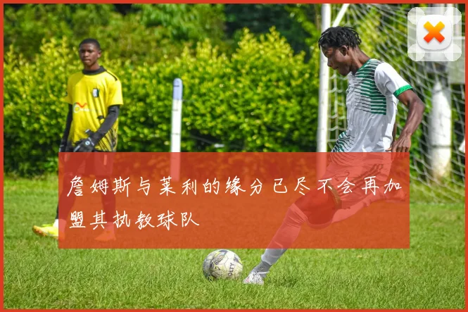 詹姆斯与莱利的缘分已尽不会再加盟其执教球队